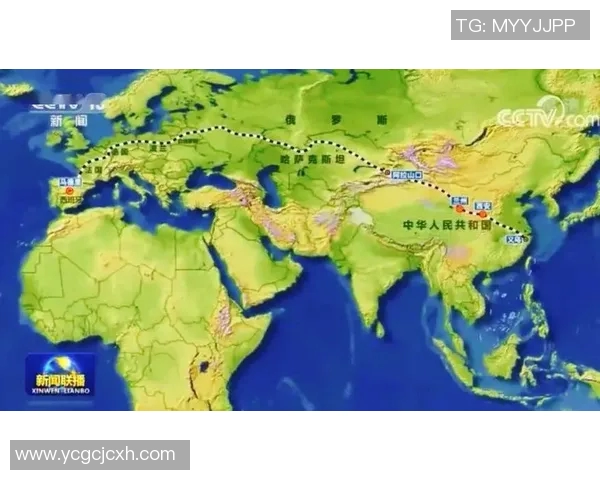 中欧站点内容深度解析与发展趋势展望