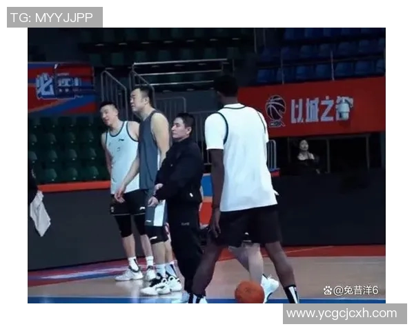 国王队伤员频频，球队如何应对伤病困扰？