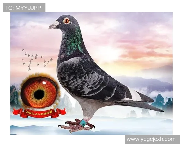 亨利比奥纳尔：德甲之星，世界扶翔的王者